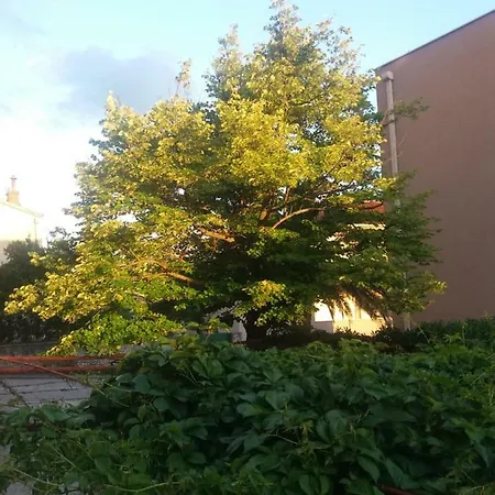 Апартаменты Srzic No1