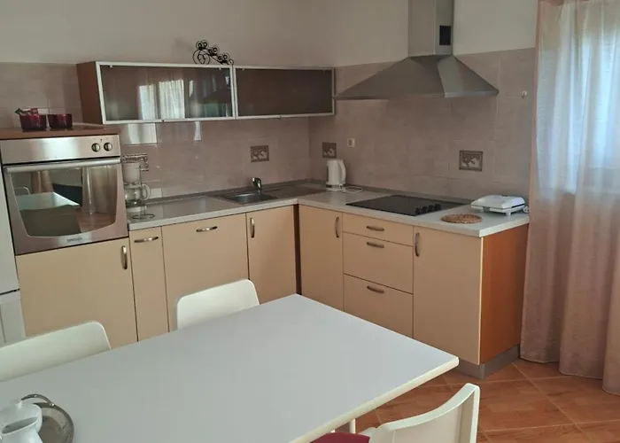 Apartman Srzic No1